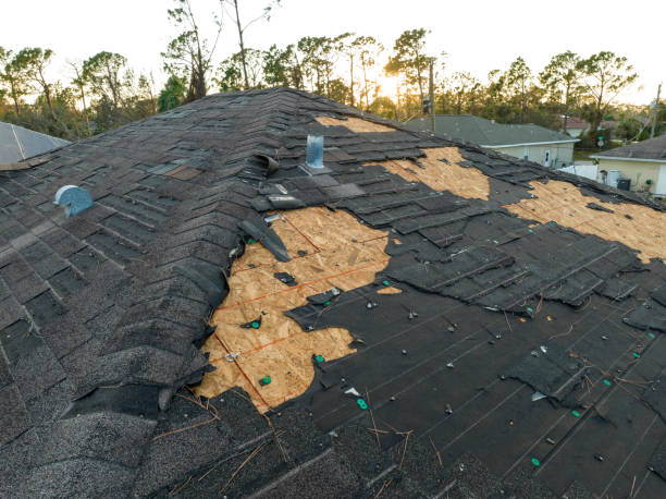 Best Roof Insulation Installation  in Greenwood, SC