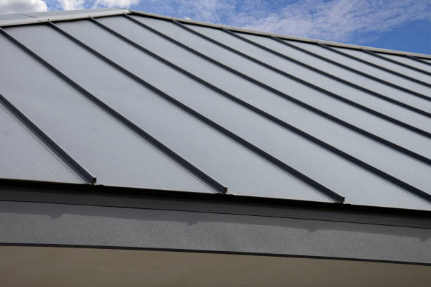 Best Roof Moss and Algae Removal  in Greenwood, SC